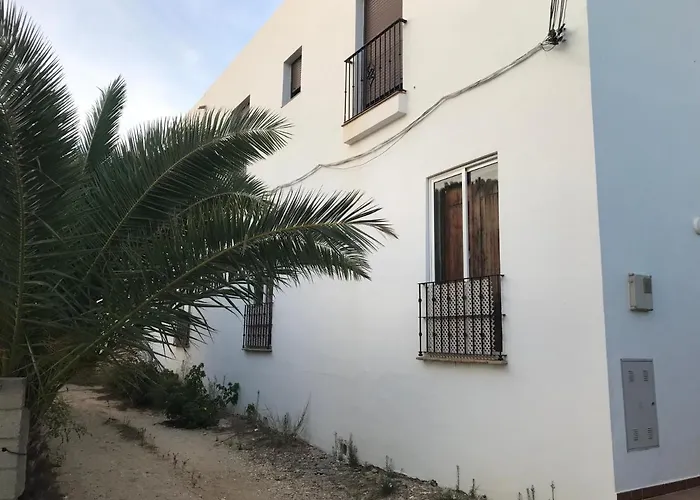 Conil Colorado 1 Rustico Y Economico