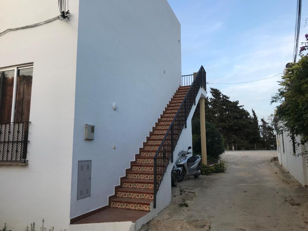 Conil Colorado 1 Rustico Y Economico